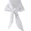 Chef Neck Scarf